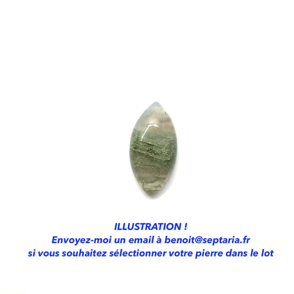 Agate Mousse Calibrée 20x10mm