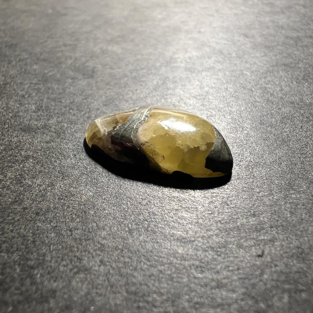 Ammonite Pyritisée ("Septaria-Pyrite") 24x15x5mm – Image 2