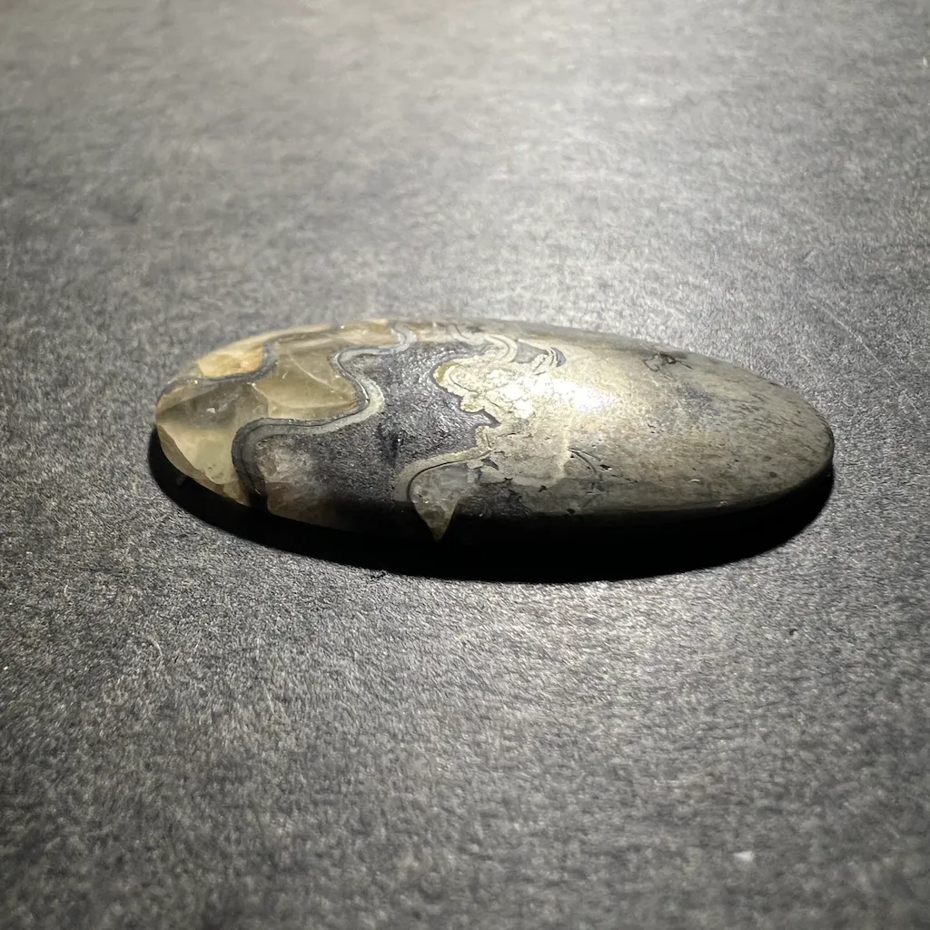 Ammonite Pyritisée ("Septaria-Pyrite") 40x21x4mm – Image 2