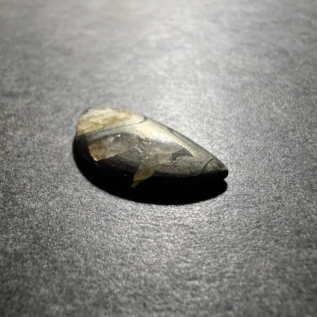Ammonite Pyritisée ("Septaria-Pyrite") 24x12x4mm – Image 2
