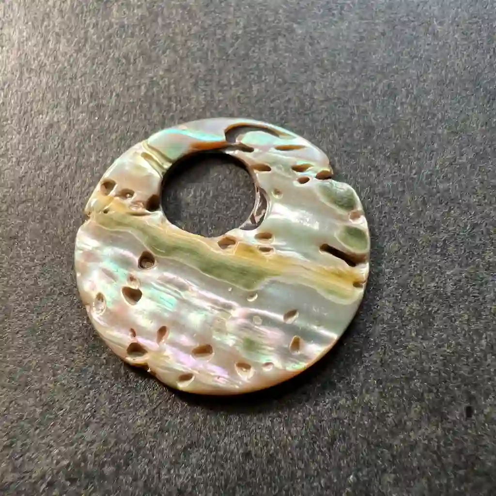 Paua de Nouvelle-Zélande (Abalone) 25x25x2mm – Image 3