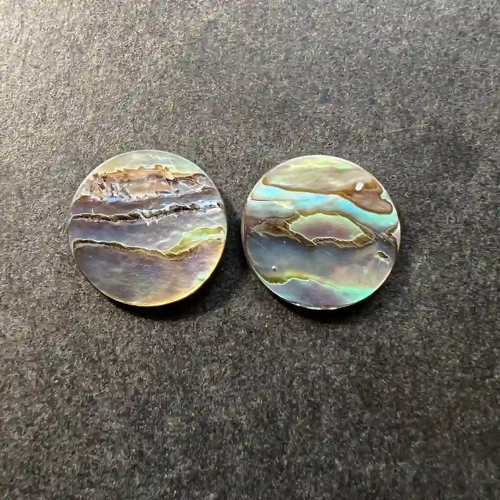 Paua de Nouvelle-Zélande (Abalone) 18x18x2mm (la paire) – Image 2