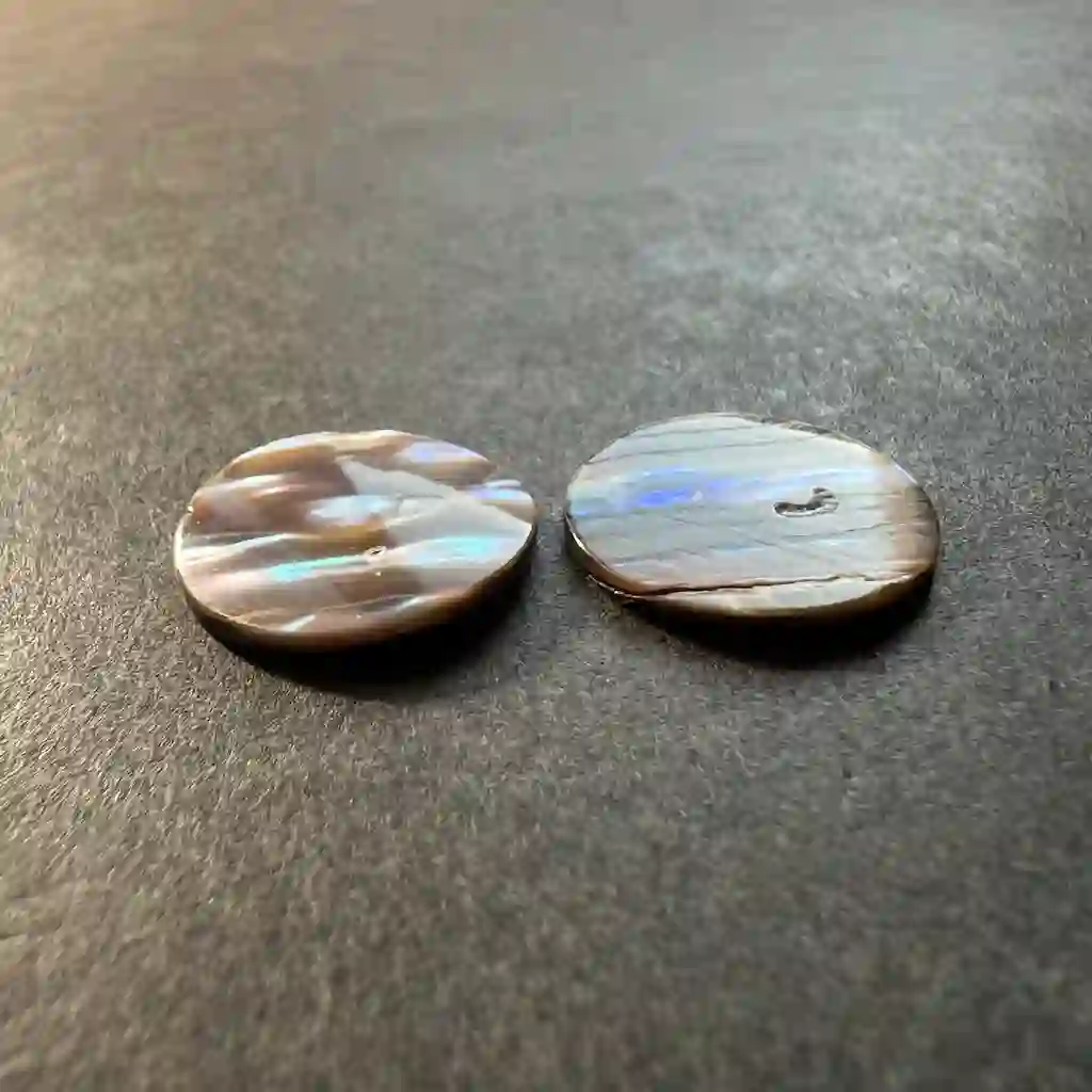 Paua de Nouvelle-Zélande (Abalone) 18x18x2mm (la paire) – Image 3
