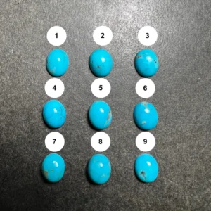 Turquoise de l’Arizona Ovale Calibrée 8x10mm (USA)