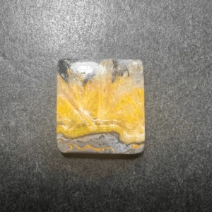 Bumble Bee (Indonésie) 24x22x5mm