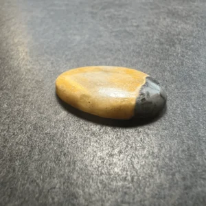 Bumble Bee (Indonésie) 25x15x4.5mm