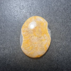 Bumble Bee (Indonésie) 29x21x4.5mm