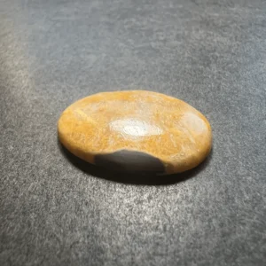Bumble Bee (Indonésie) 29x21x4.5mm